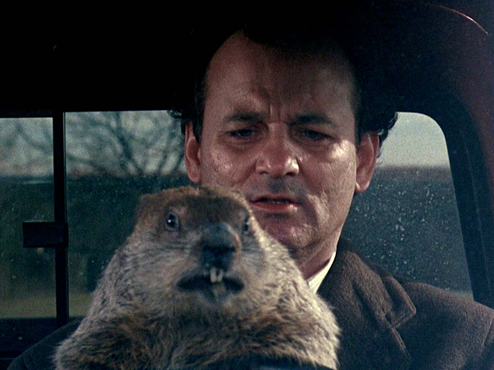 This amazing supercut shows every day in Groundhog Day simultaneously2000 x 1500