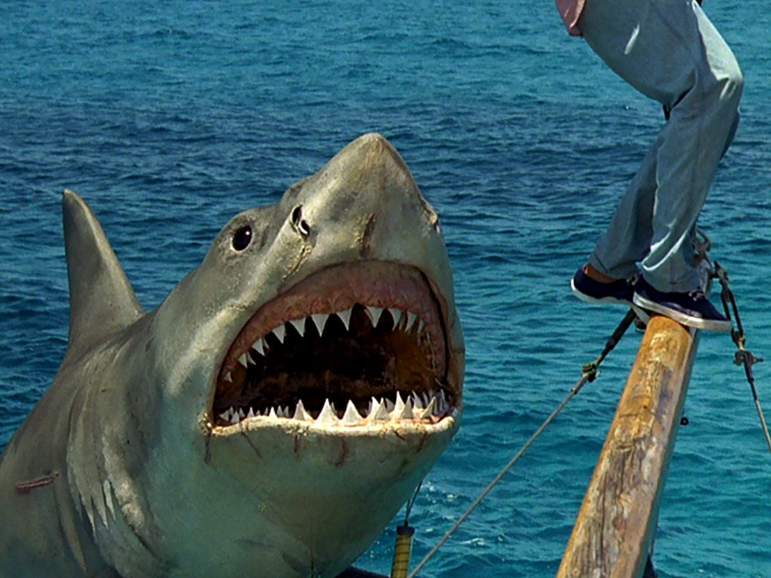 Jaws Shark Attack Scene