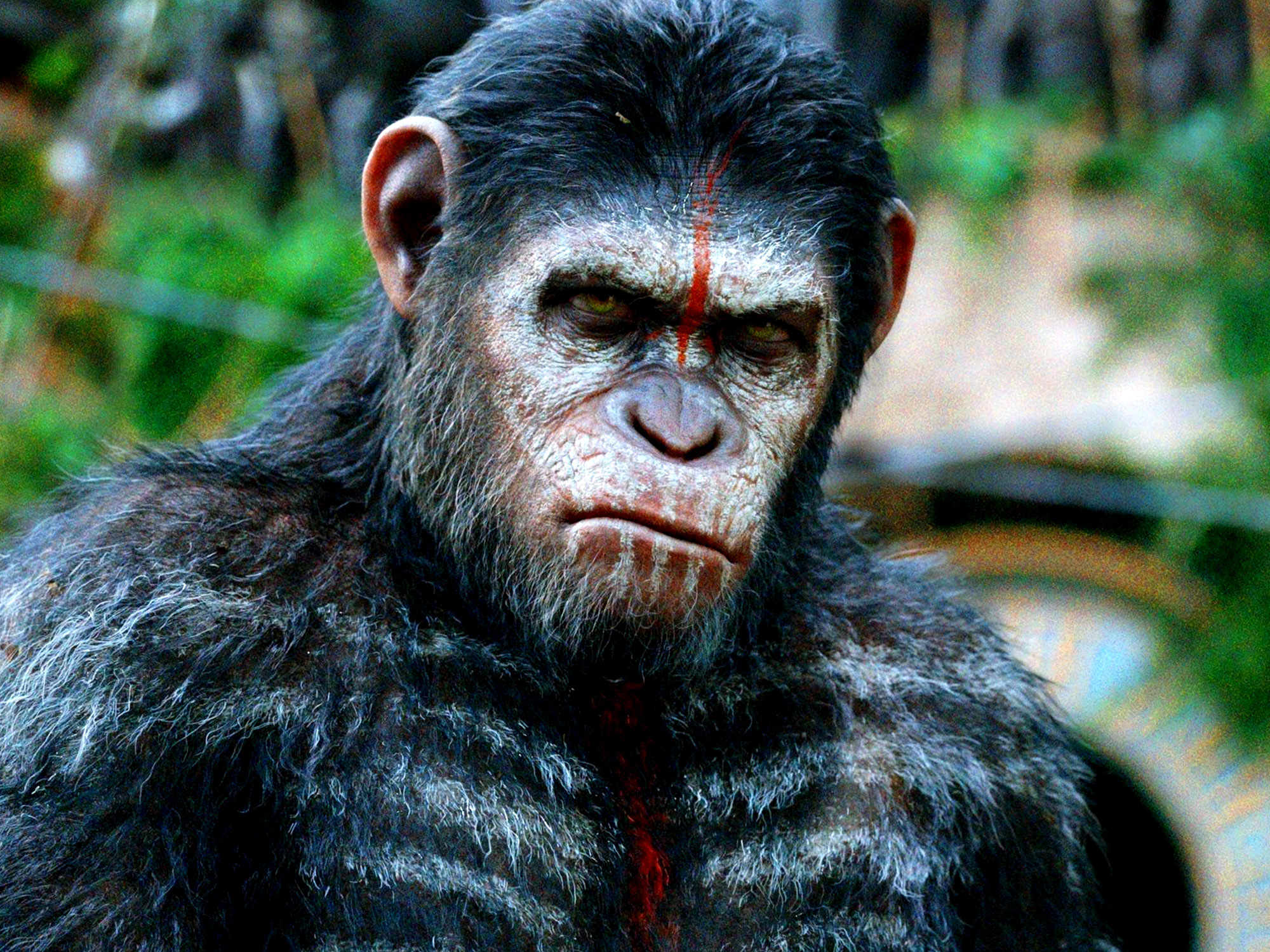 Dawn of the Planet of the Apes review2000 x 1500