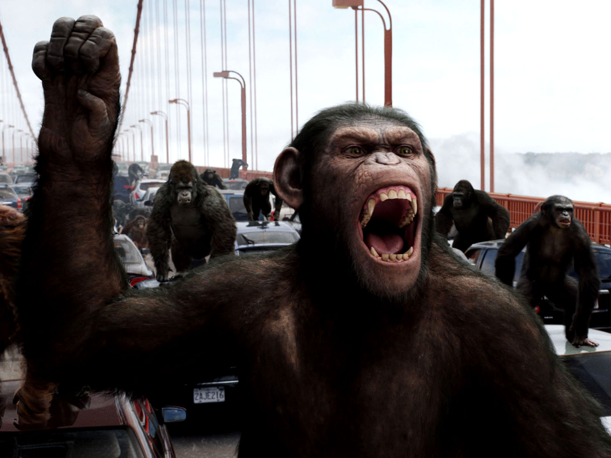 Rise of the of the Apes review