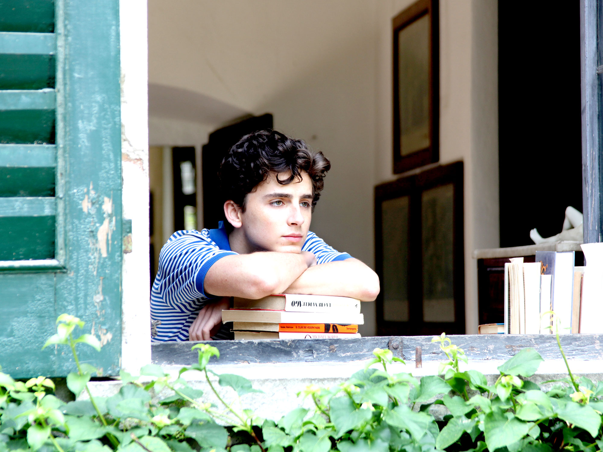 How Call Me By Your Name Became A Queer Literary Phenomenon