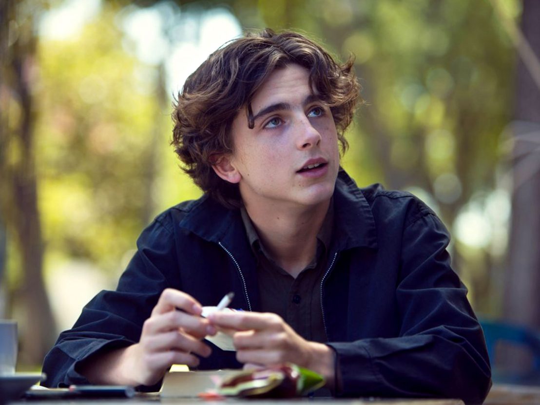 In Lady Bird Timothee Chalamet Is Not Your Typical Dirtbag Boyfriend