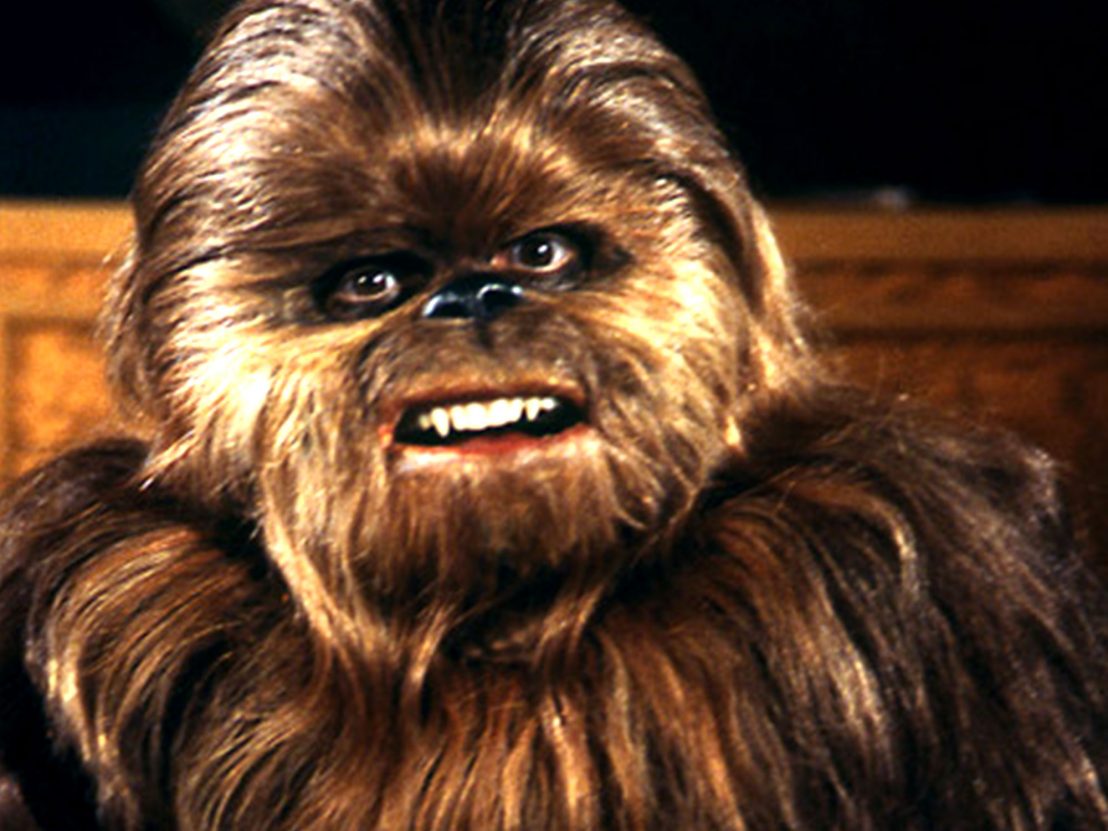 1108px x 831px - Tears of a Wookiee â€“ The Star Wars Holiday Special at 40