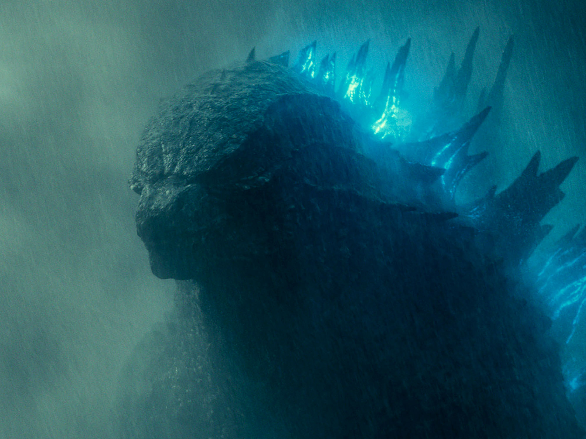 Godzilla King Of The Monsters Characters