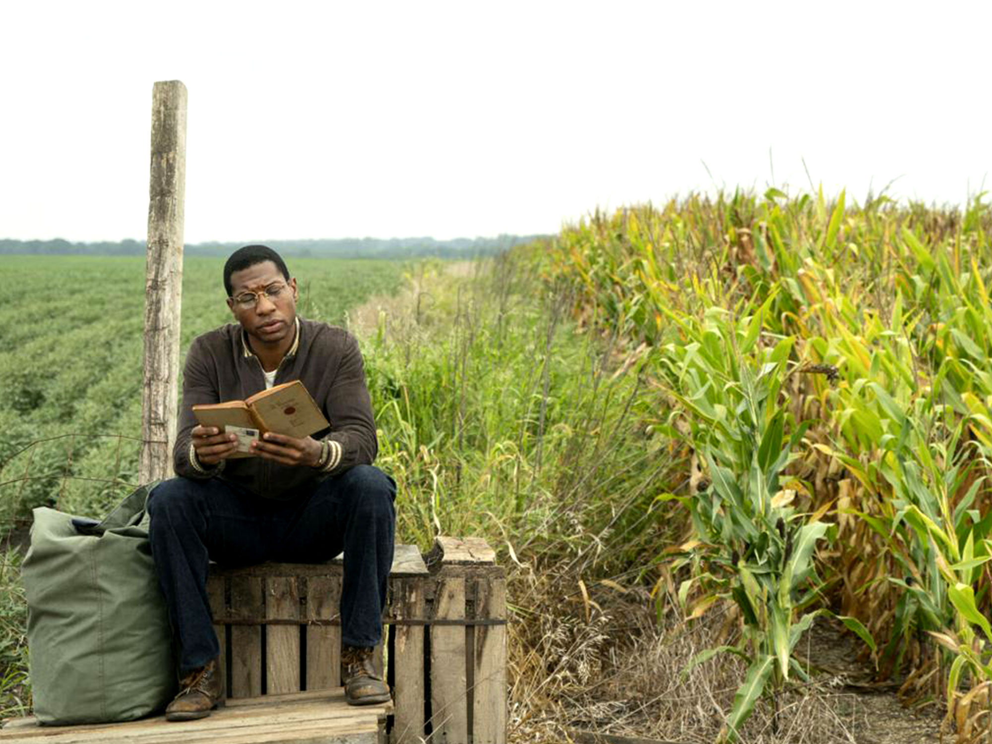 Jonathan Majors in Lovecraft Country (2019)