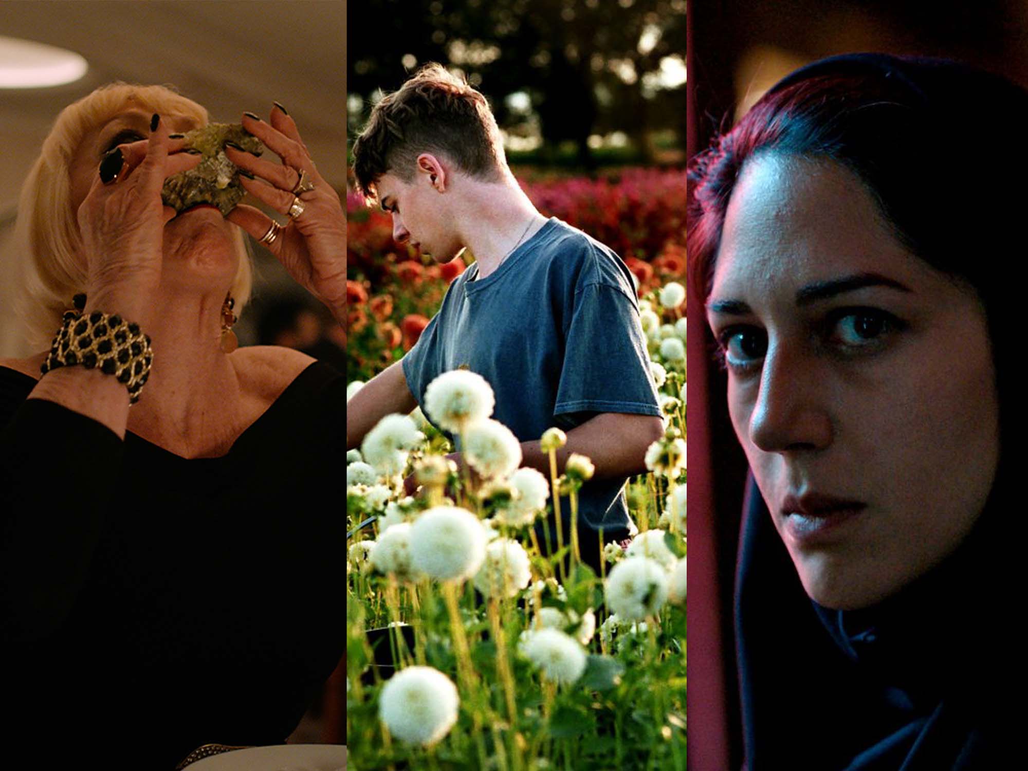 Here are the nominees of the 35th European Film Awards