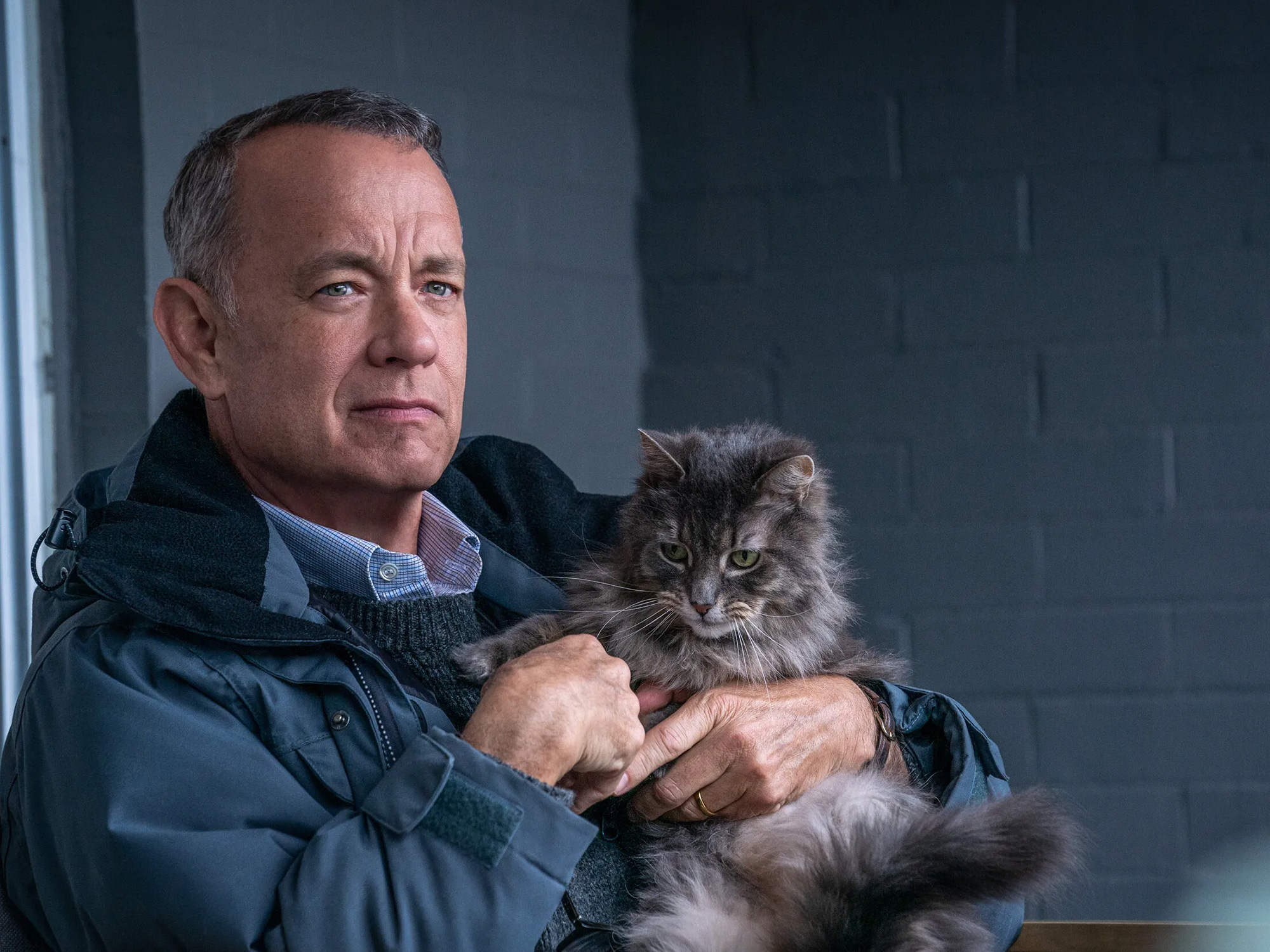 A Man Called Otto review – Tom Hanks stars in