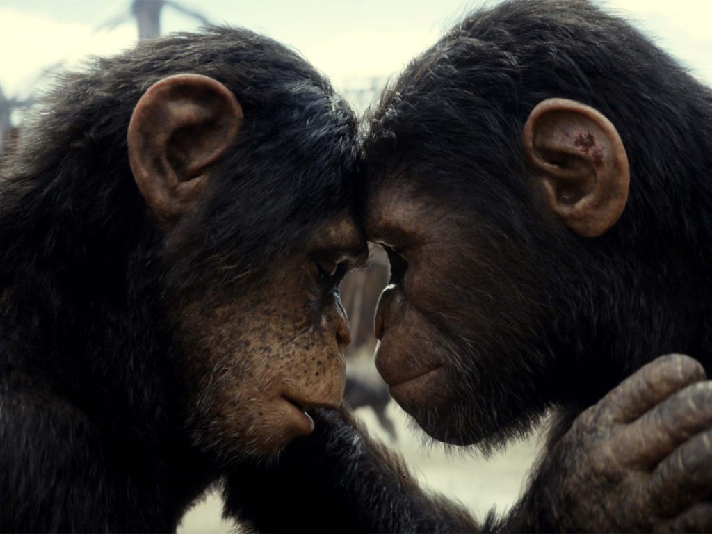 Kingdom of the Planet of the Apes review – stop, I want to get off!